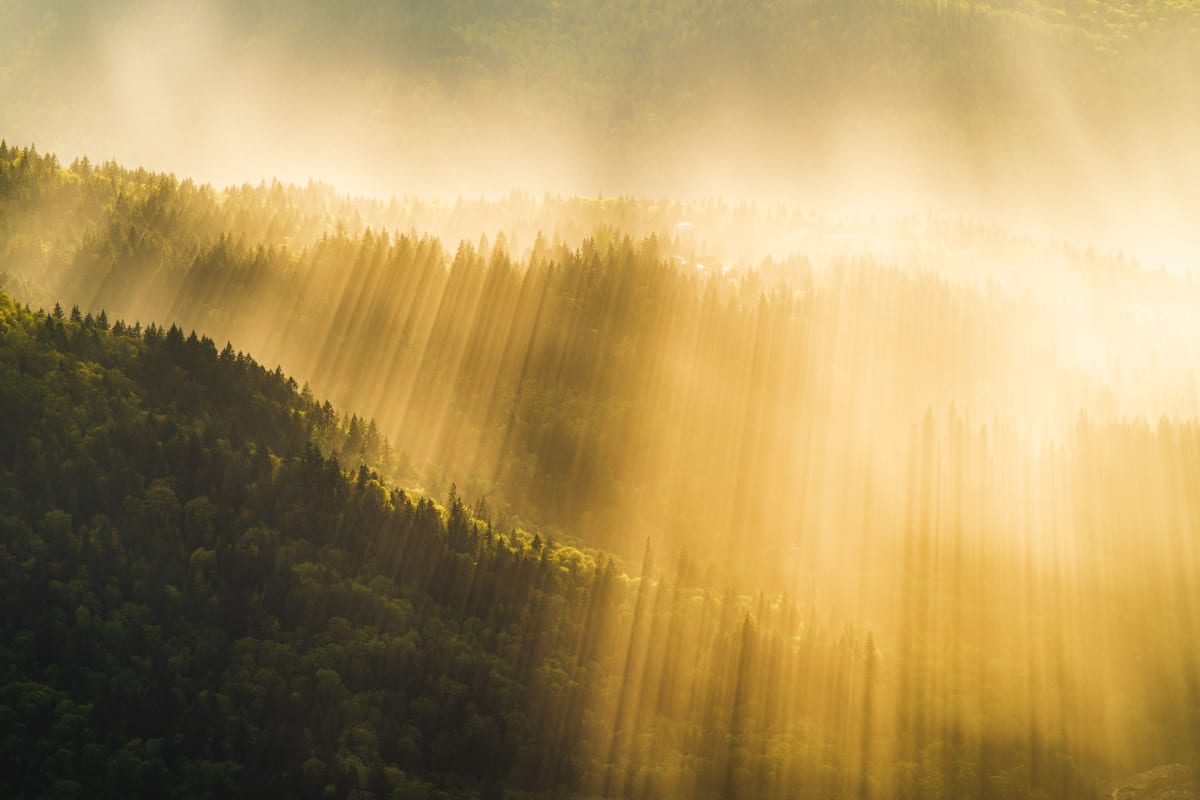 Dylan James Lockard // 6 by Dylan James Lockard 