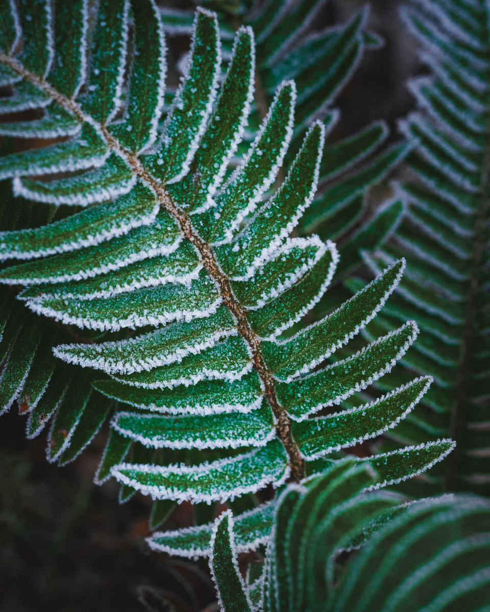 Dylan James Lockard // 7 by Dylan James Lockard 