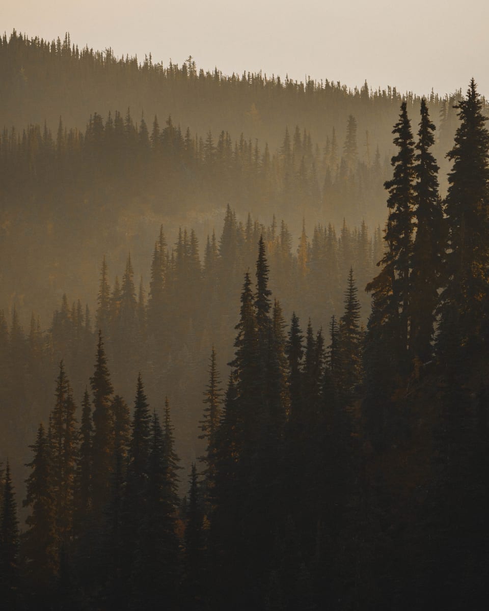 Dylan James Lockard // 5 by Dylan James Lockard 