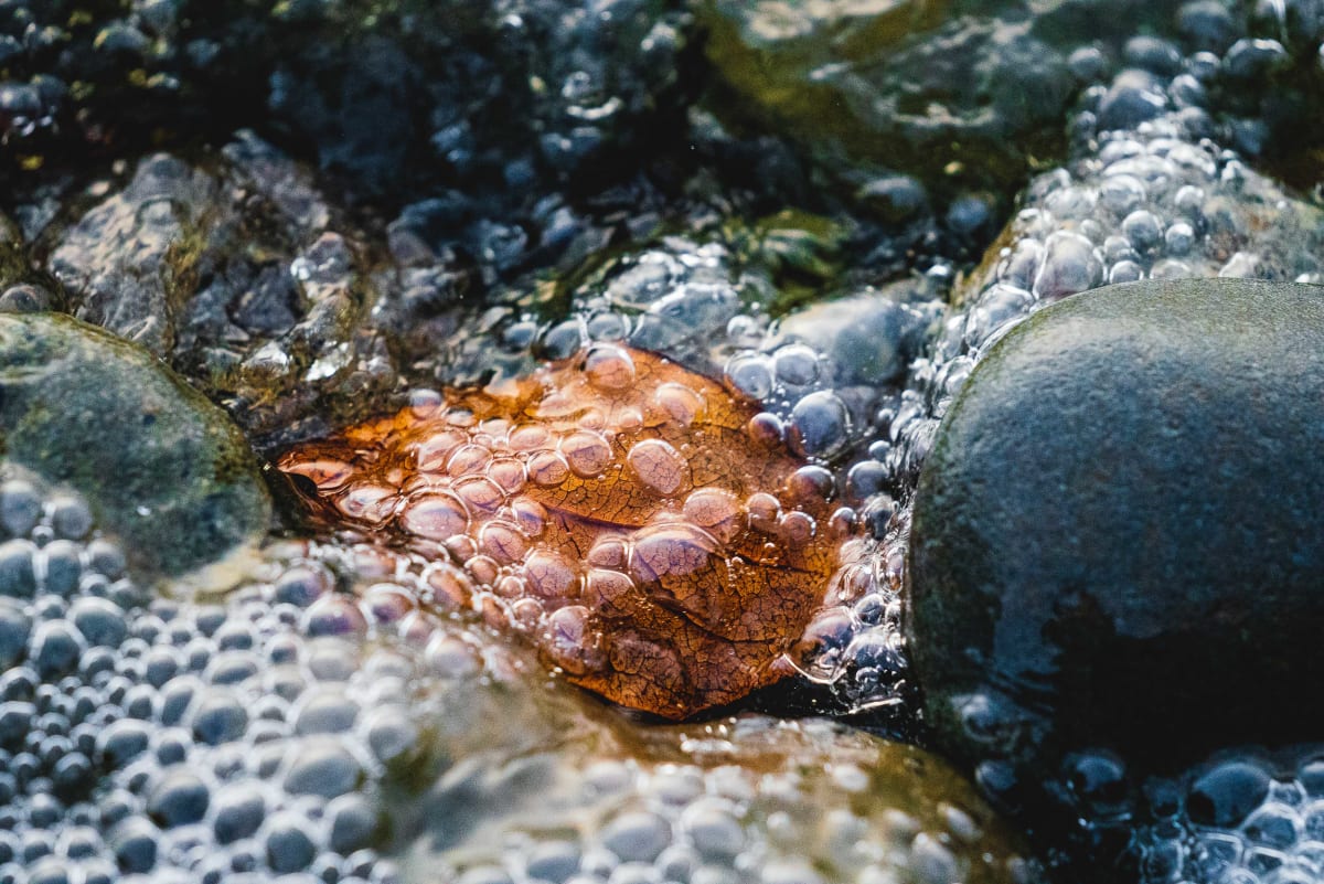 Dylan James Lockard // 33 by Dylan James Lockard 