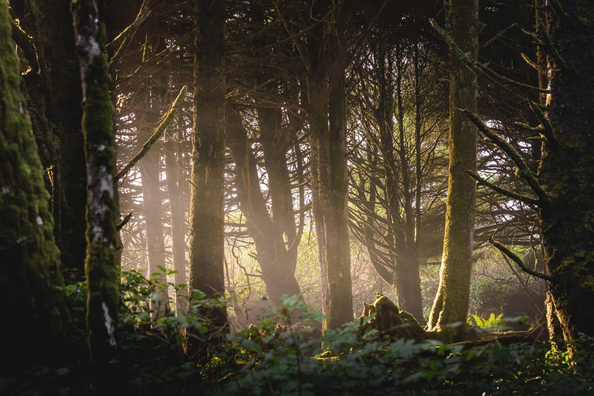 Dylan James Lockard // 36 by Dylan James Lockard 