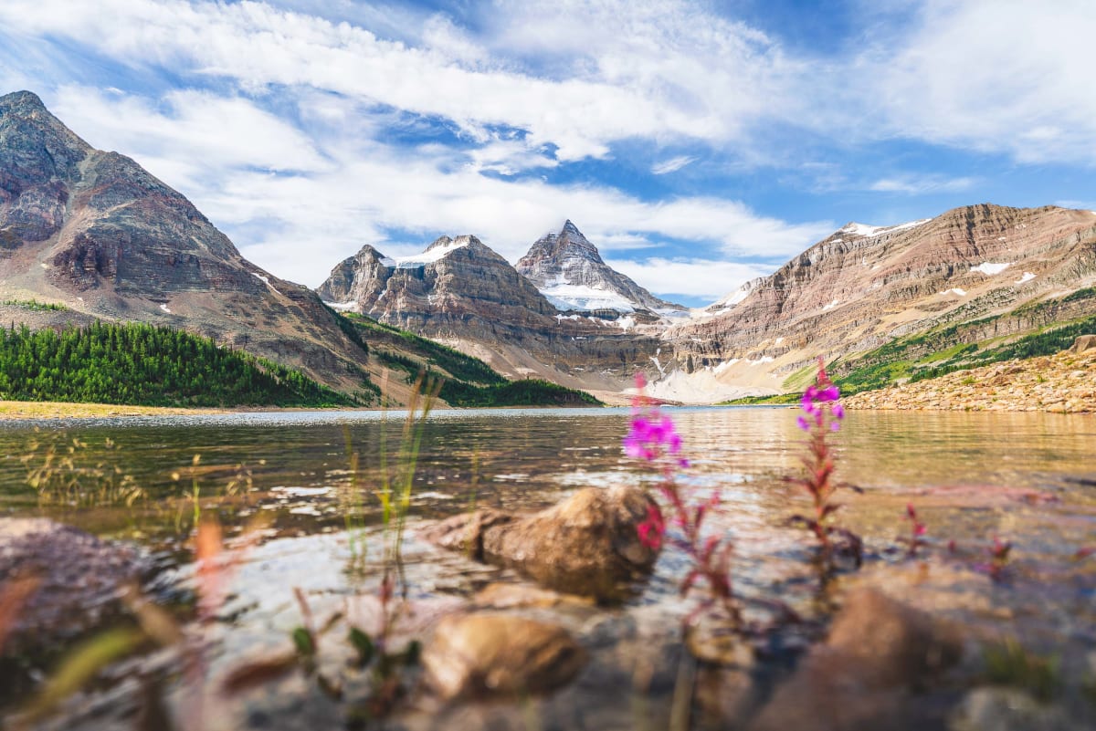 Dylan James Lockard // 20 by Dylan James Lockard 