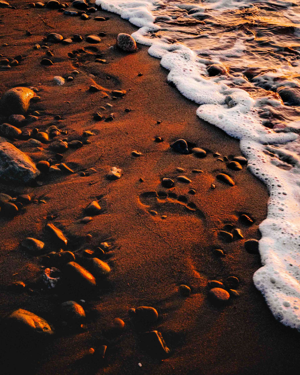 Dylan James Lockard // 18 by Dylan James Lockard 