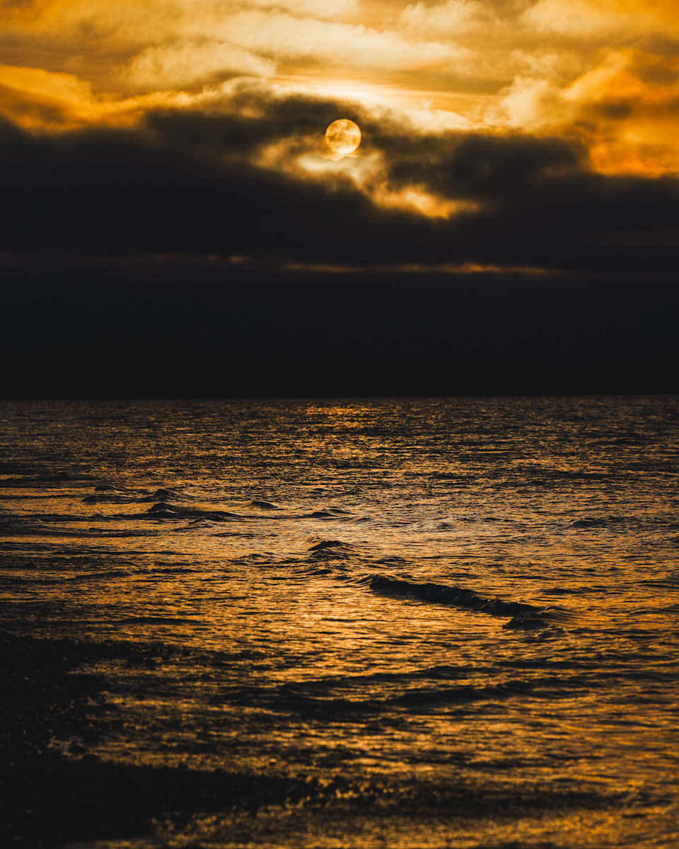 Dylan James Lockard // 12 by Dylan James Lockard, Image 9.