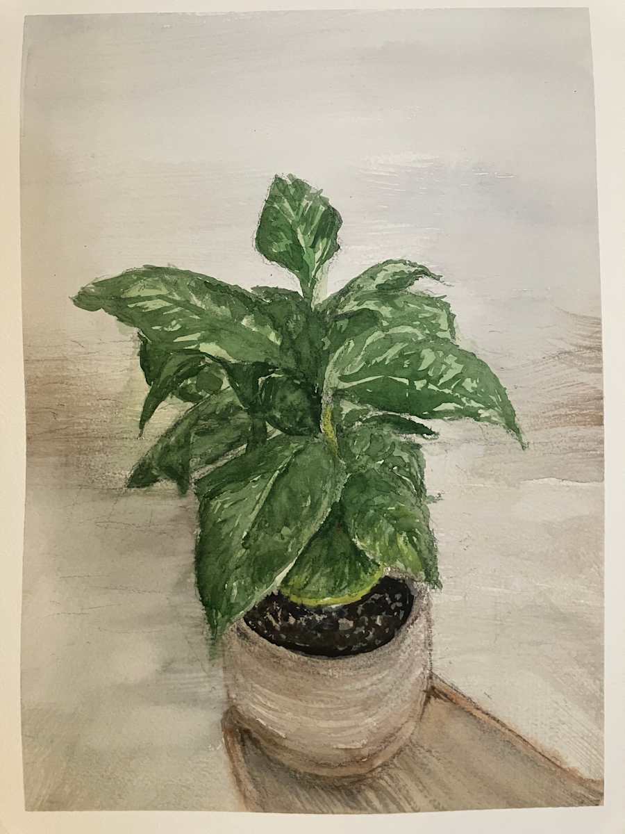 Leafy Pot by Ben Bull  Image: 9 x 12 watercolor