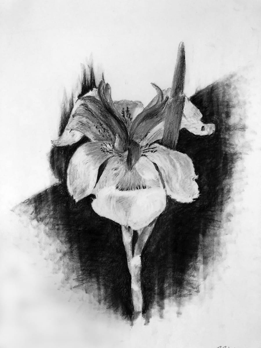 Flower 1 by Ben Bull 
