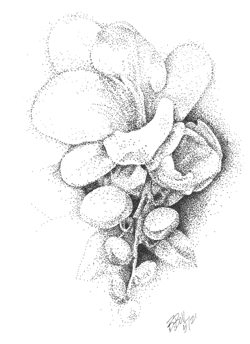 Flower 3 