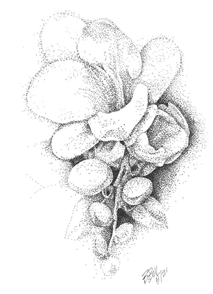 Flower 3 by Ben Bull 