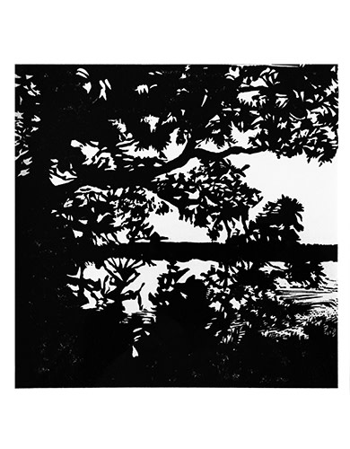 Vineyard Waterway by Ben Bull 