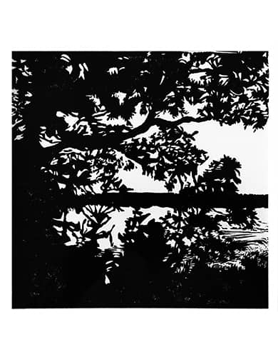 Vineyard Waterway by Ben Bull, Image 1.