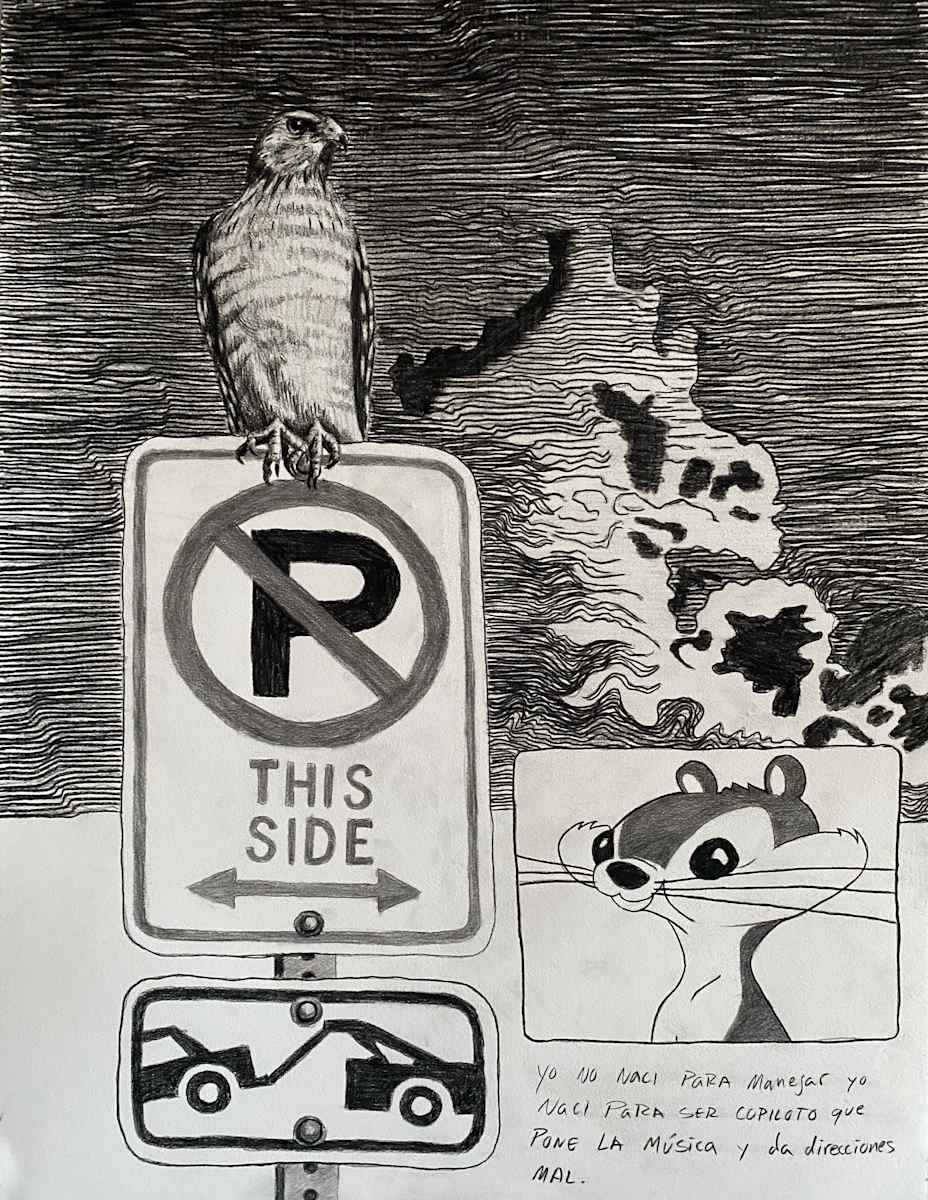 I Was Born To Be The Driver by PAUL ACEVEDO GOMEZ, Image 4.