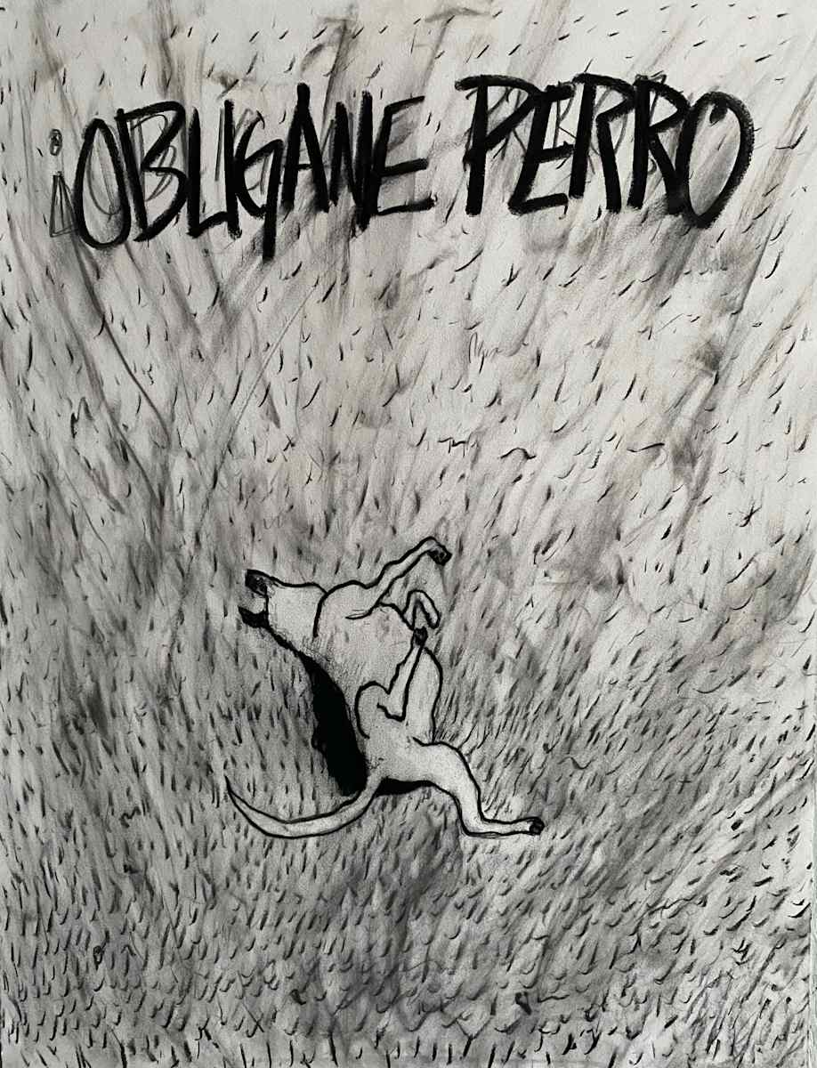 Obligame Perro by PAUL ACEVEDO GOMEZ, Image 6.