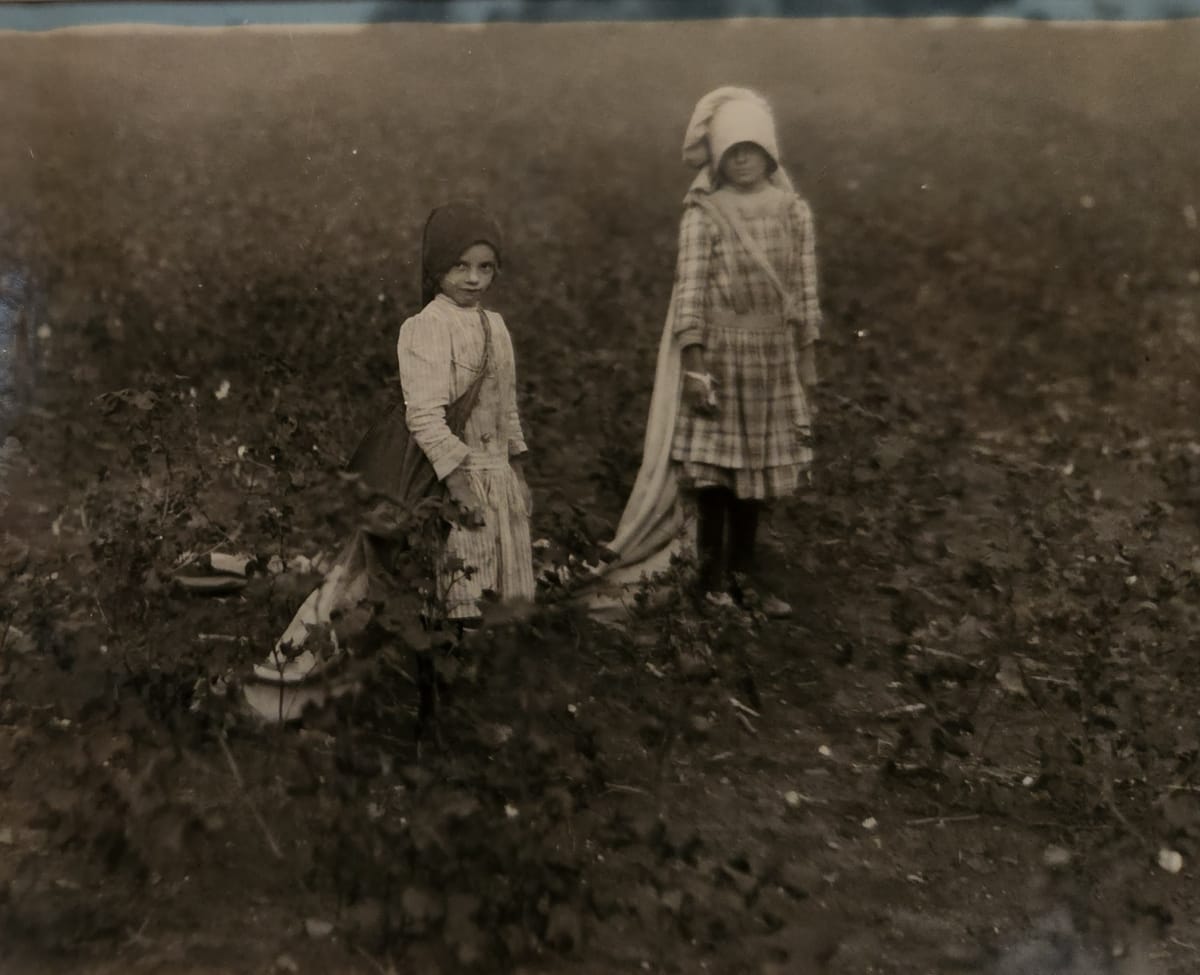 Girls in Cotton Field, Texas, 1913 by Lewis Hine  Image: "Benkendorfer farm near West, Texas. Owned by father and well kept up. Mandy, six years old, picks twenty-five pounds a day. Sophie, nine years old picks ninety pounds a day."  1913. 
Lewis Hines' documentary photographs in the South and other areas of the country are considered pivotal to the implementation of child-labor laws in the US. 