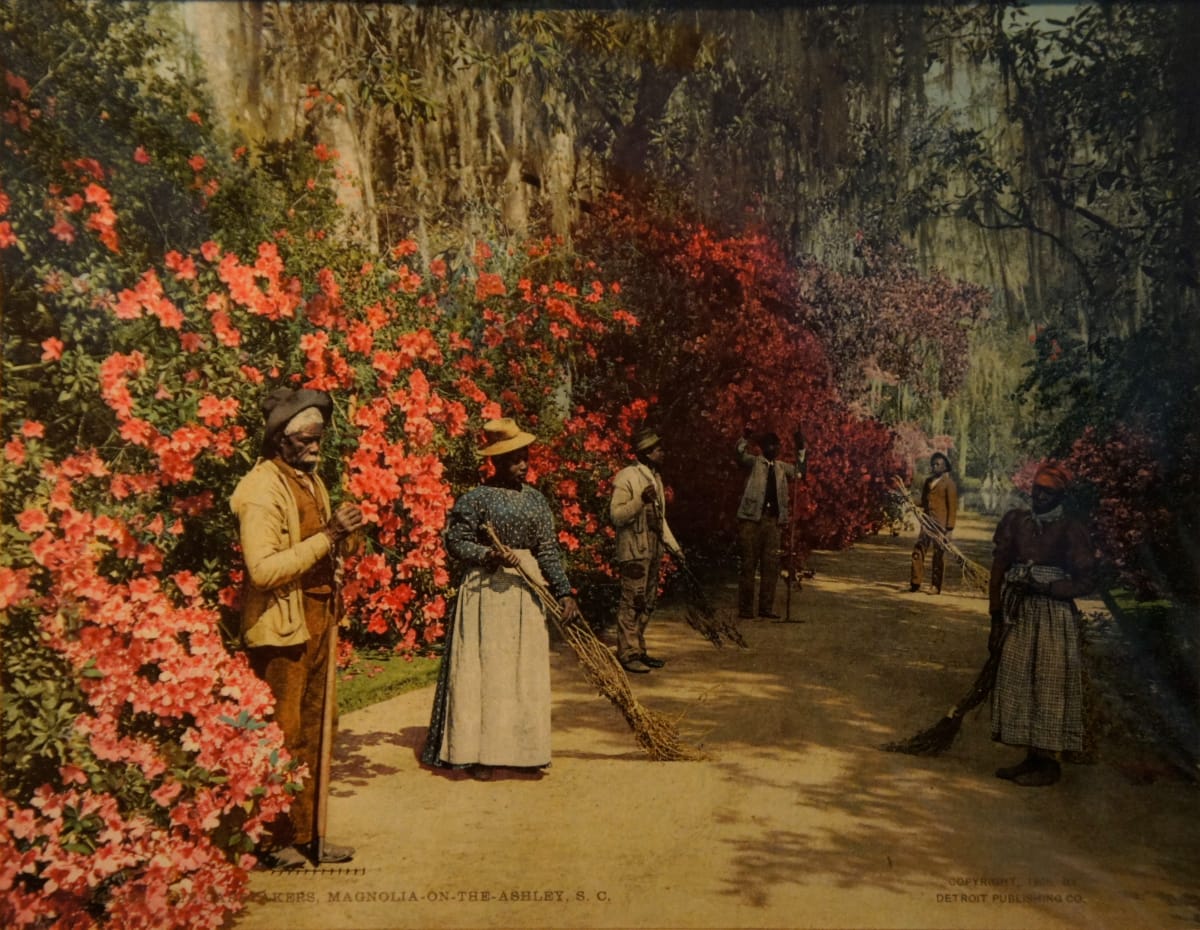 Caretakers, Magnolia-on-the-Ashely, SC by William Henry Jackson  Image: Chromolithograph, Detroit Publishing Co. Circa 1900.
Magnolia Gardens, Charleston, SC. Circa 1900