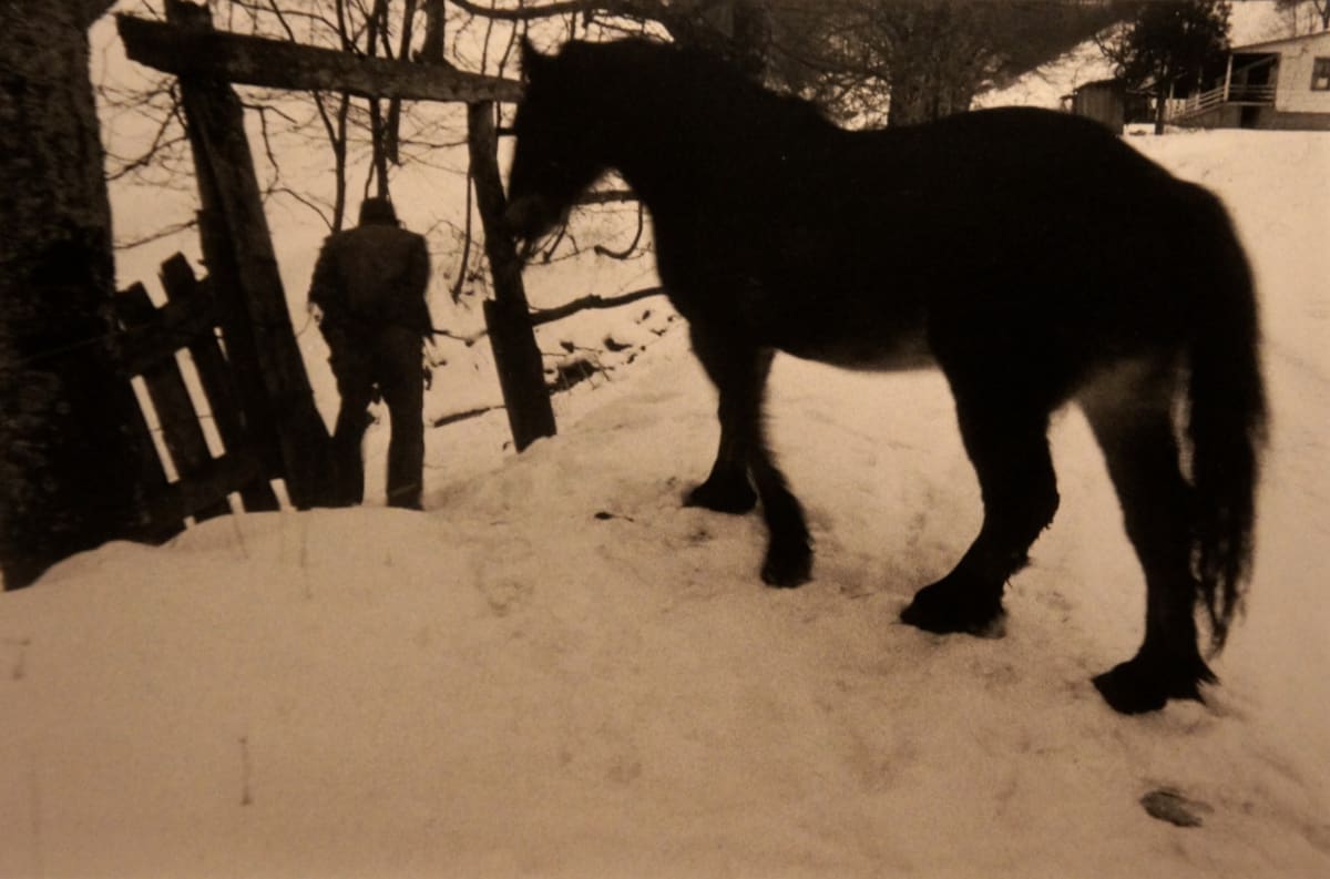 Man and horse in winter by Robert Amberg 