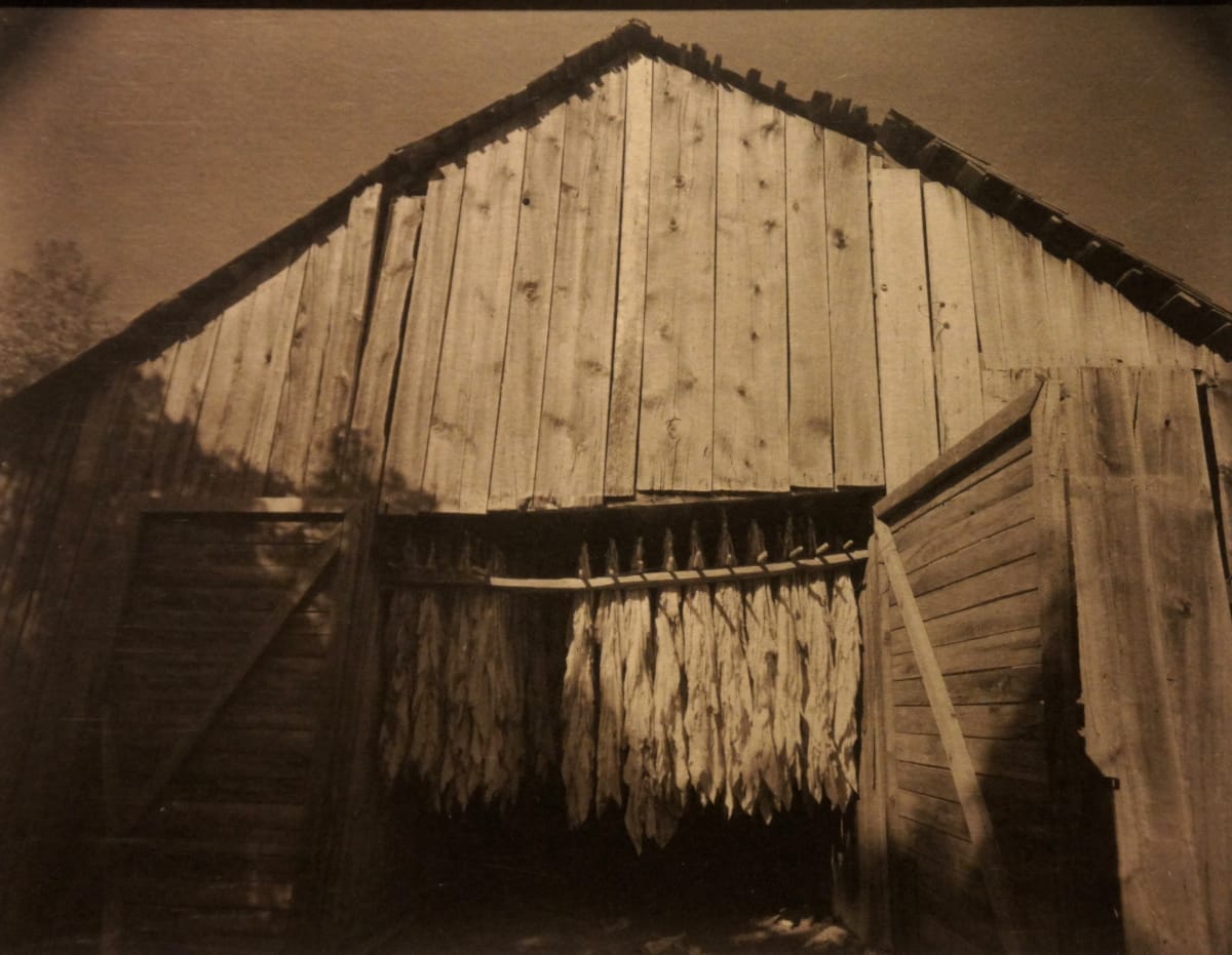Tobacco Barn by Caroline Vaughn 