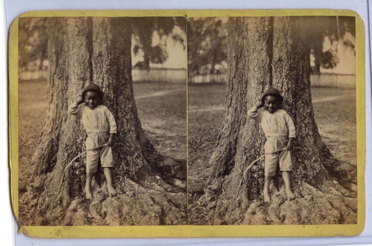 Boy and tree, Florida  Image: Boudoir card backmark: Views of West Florida by Shear and Howe.
