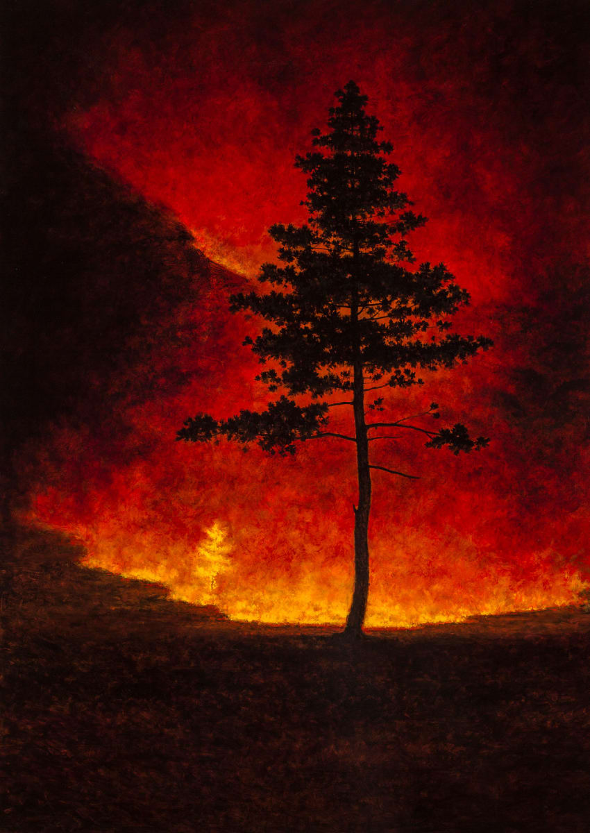 Fire and Pine by Jeff Aeling 