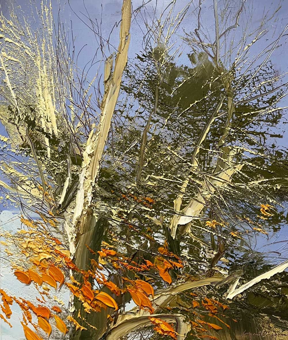 27 October 2021 by Lynn Boggess 