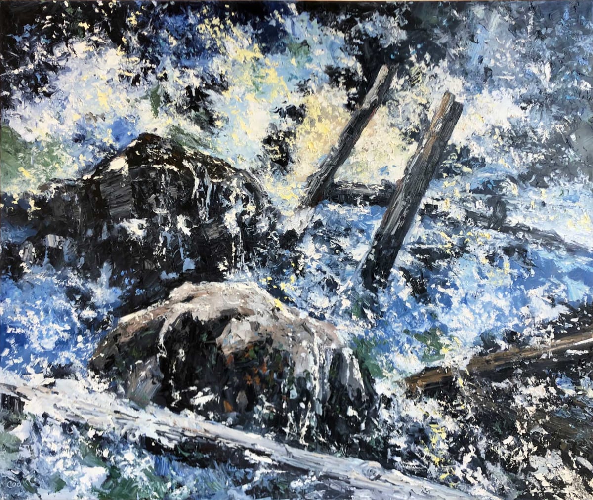 White Mountain Spring Cascade by James Cook 