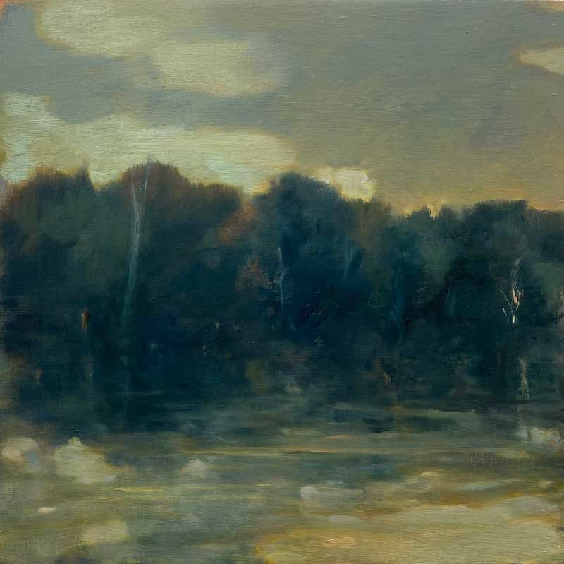 Wilderness #1 by Debra Salopek 