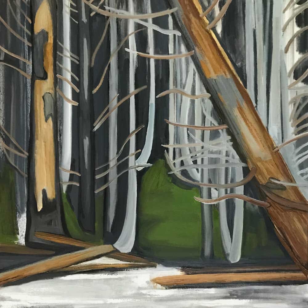 Life Cycle fo Wood by Hart James 