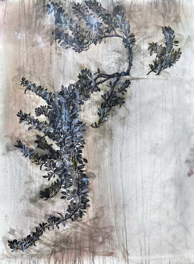 Manzanita by Heidi Jung 