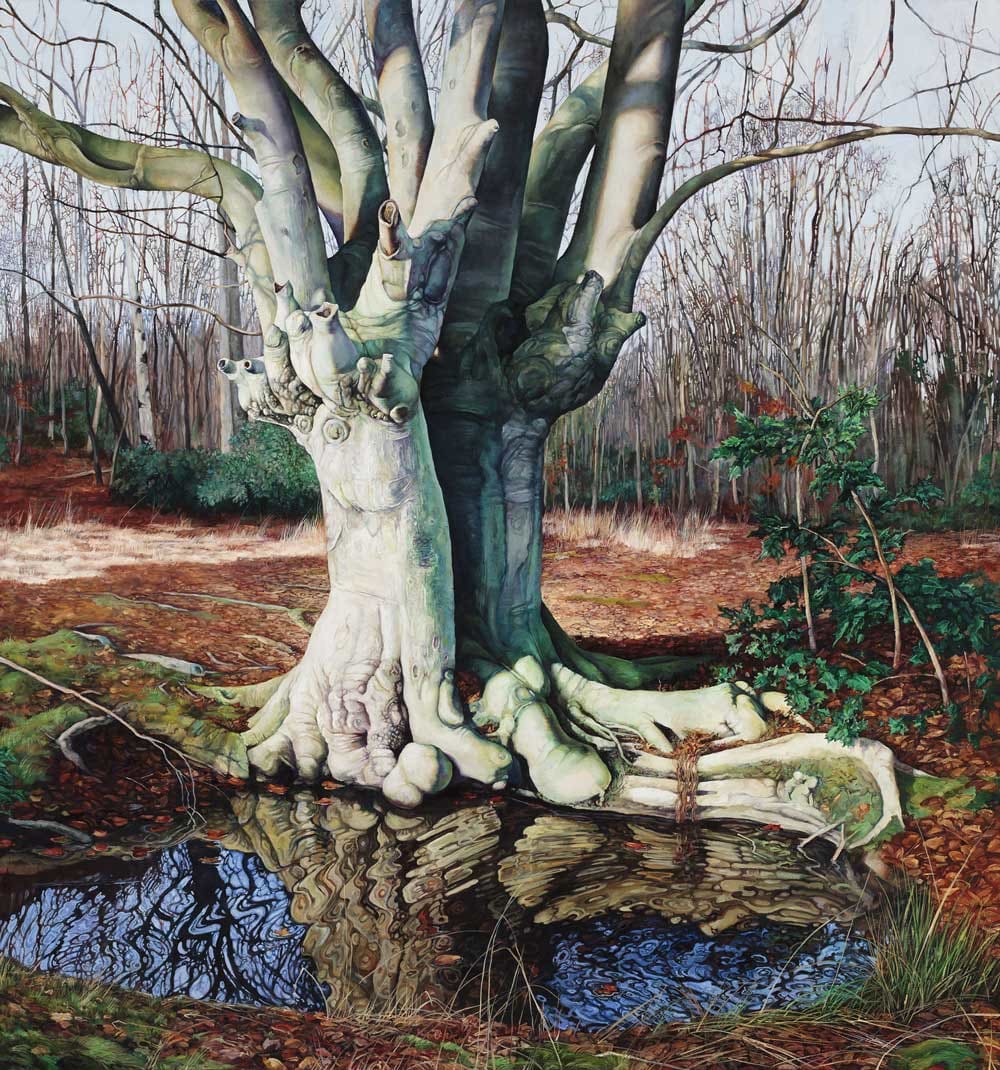 Sanctuary by Ricki Klages 