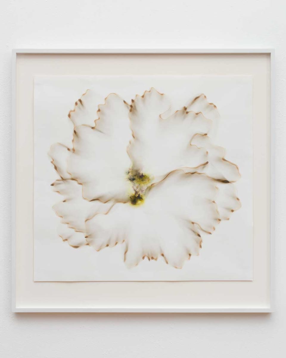 Untitled 2.2 by Dennis Lee Mitchell 
