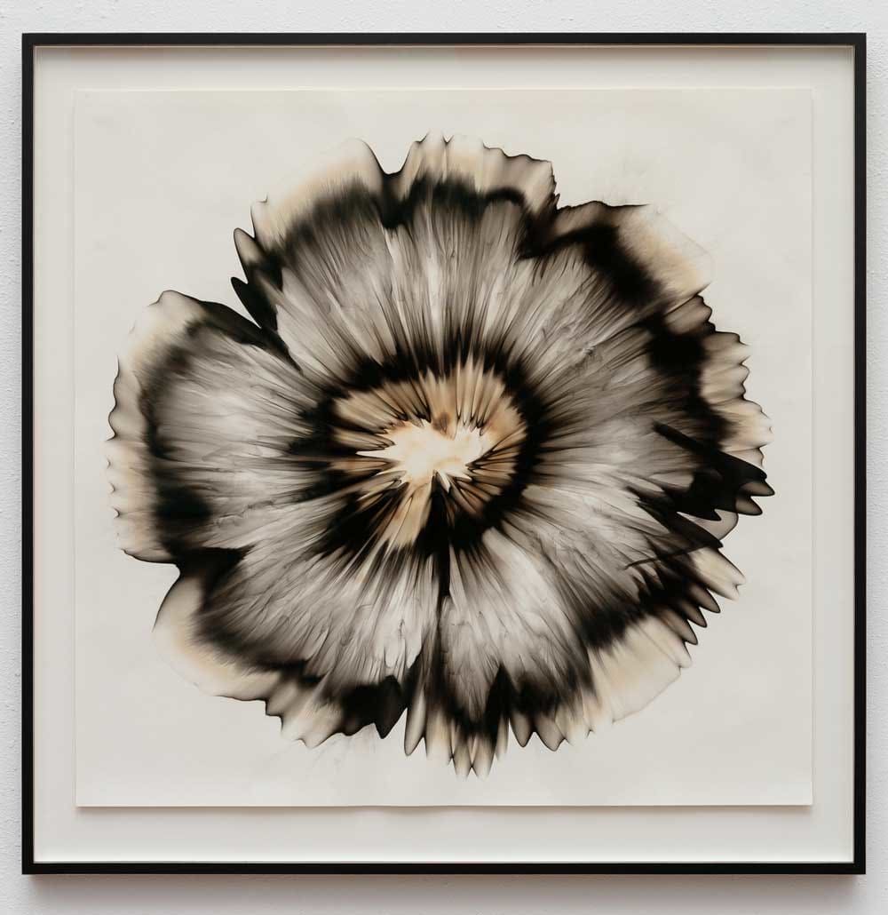 Untitled 23.7 by Dennis Lee Mitchell 