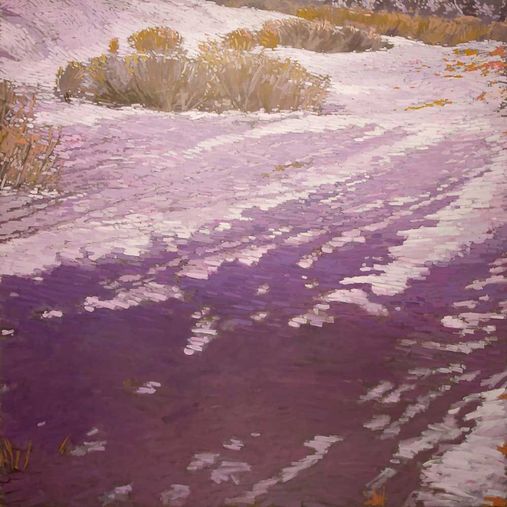 Spring Willows and Shadows East Fork Brush Creek by David Warner 