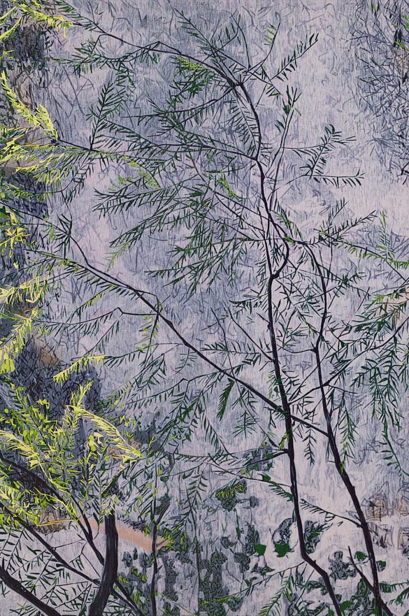 Thunder Spring (edition 2) Framed by Jean Gumpper 
