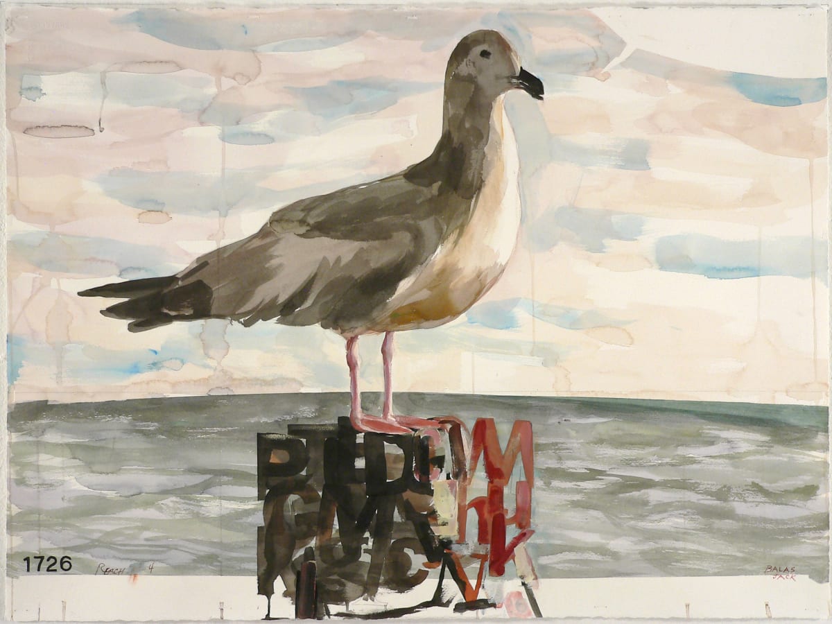 Reach 4 (Seagull) by Jack Balas 