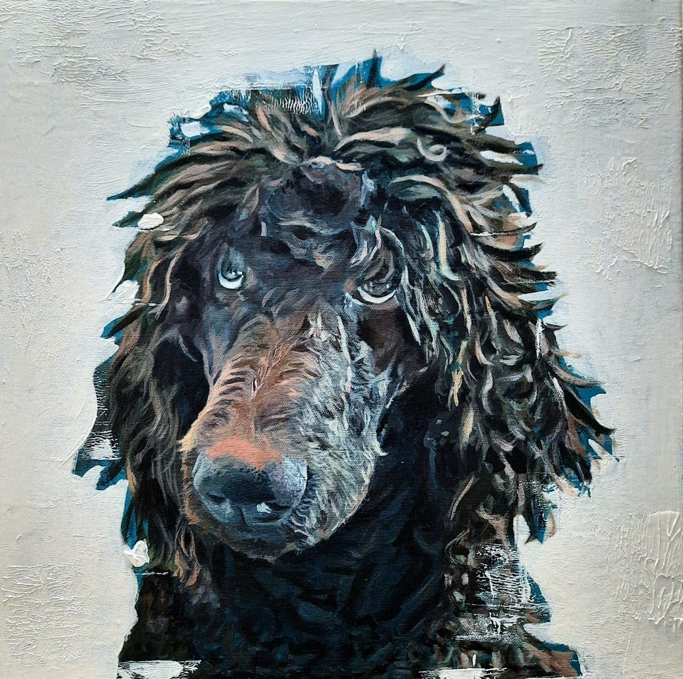 Teddy by Gabriela Morales  Image: Teddy
