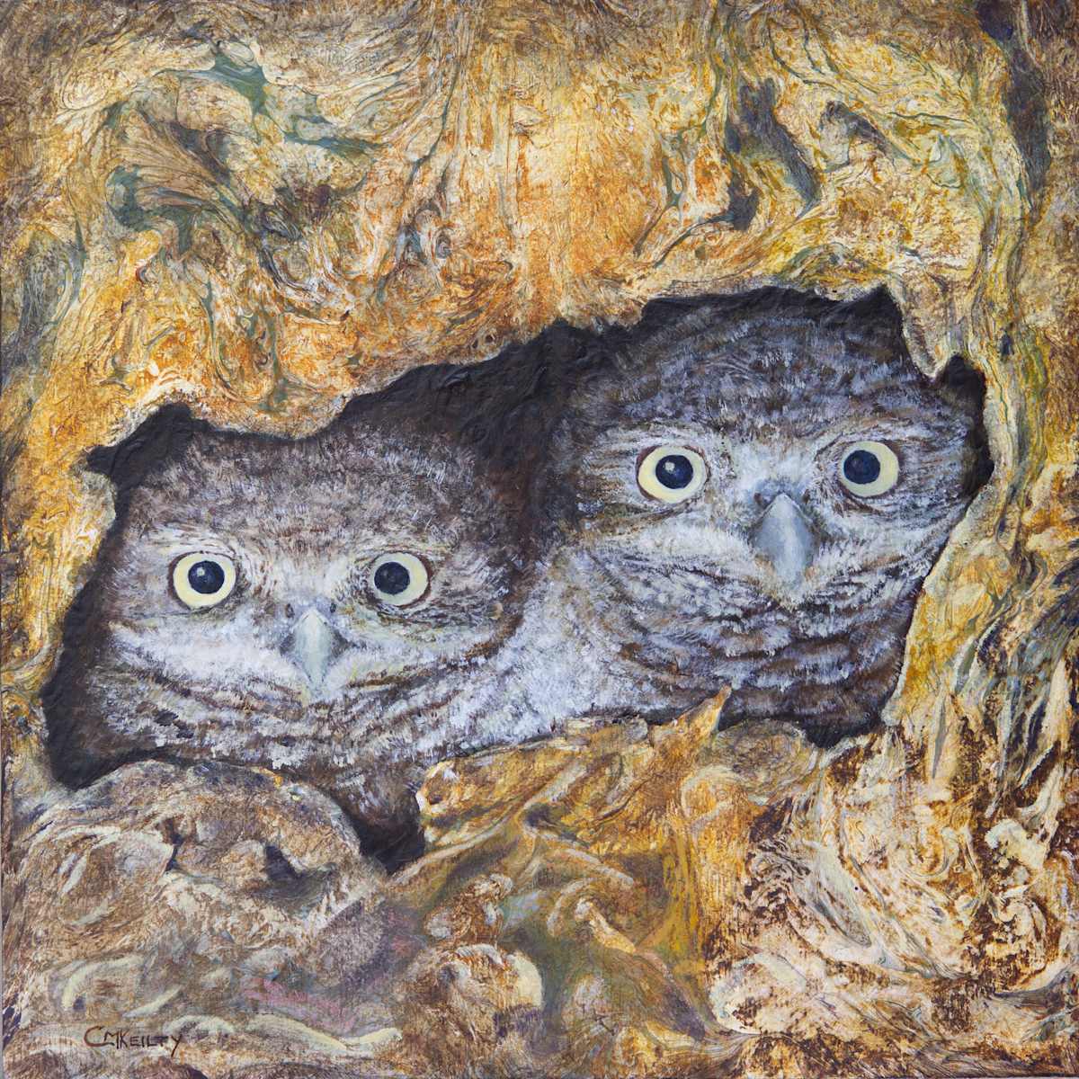 Burrowing Owls - Ernie and Bert by Cecilia Keilty, Image 6.