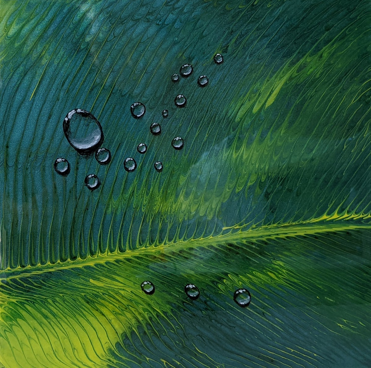 Hosta by Cecilia Keilty 