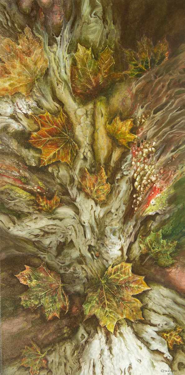 Forest Floor by Cecilia Keilty 