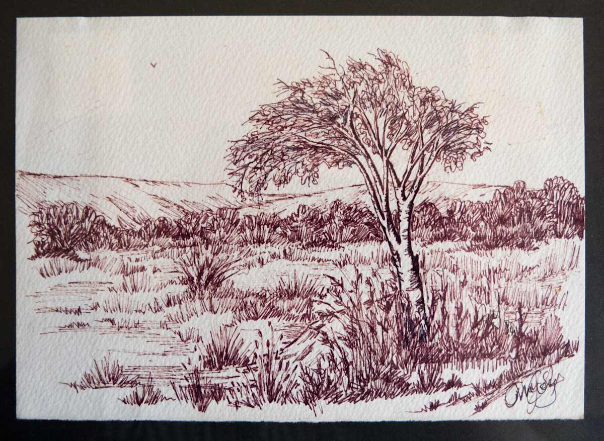Pen & Ink by Molly Coy 