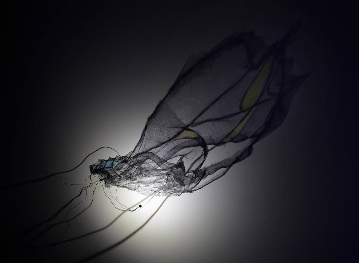 Surface Tension by Dana Major 