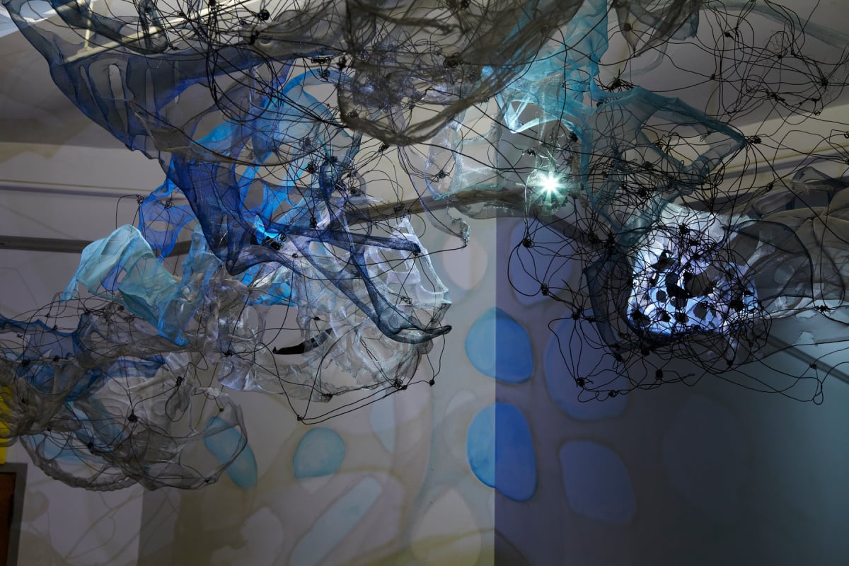 Tangled up in Blue by Dana Major 