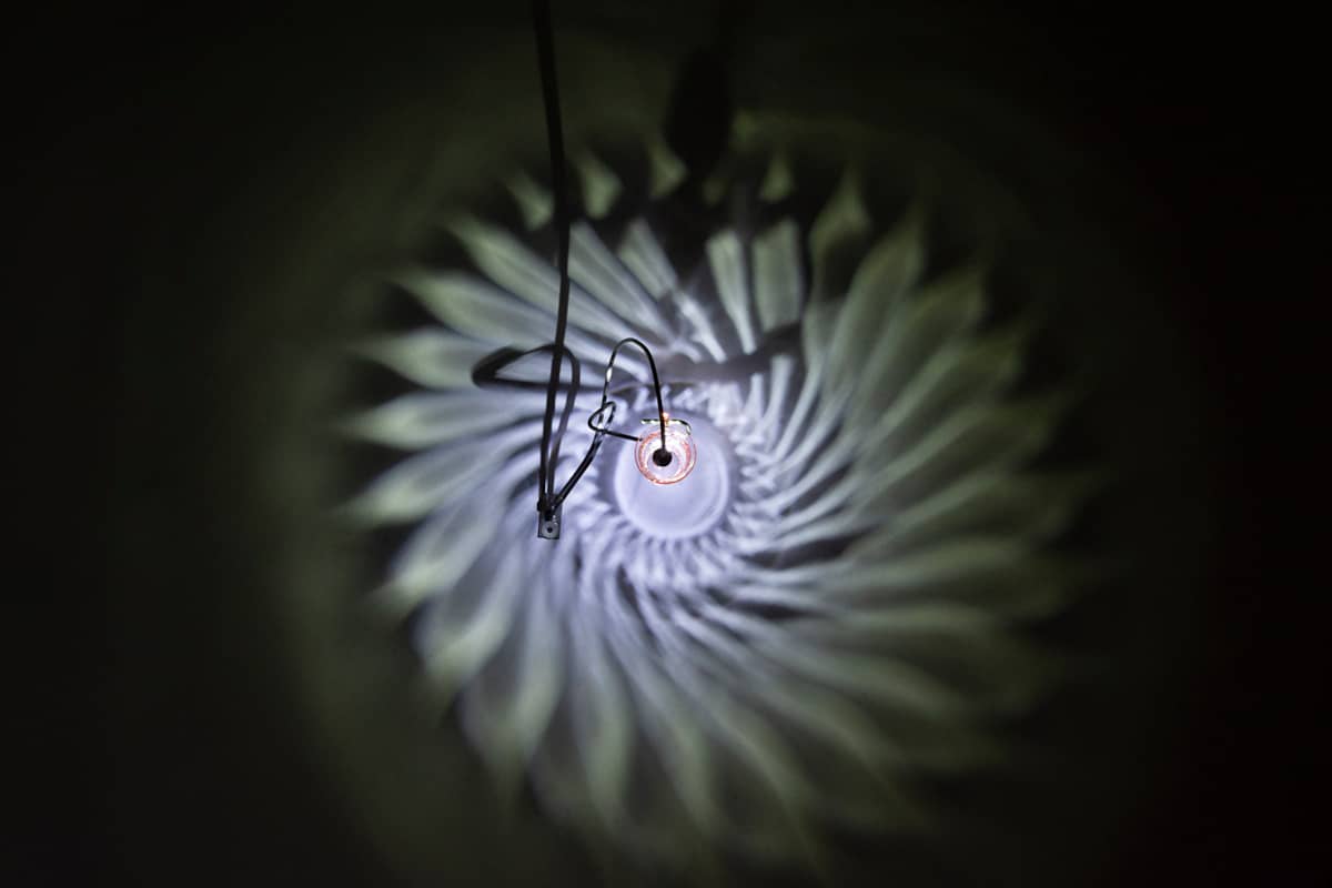 Dream Tea by Dana Major, Image 1.