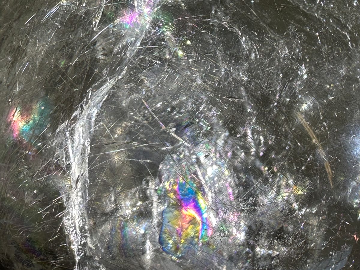Collective Seeing by Dana Major, Image 2.