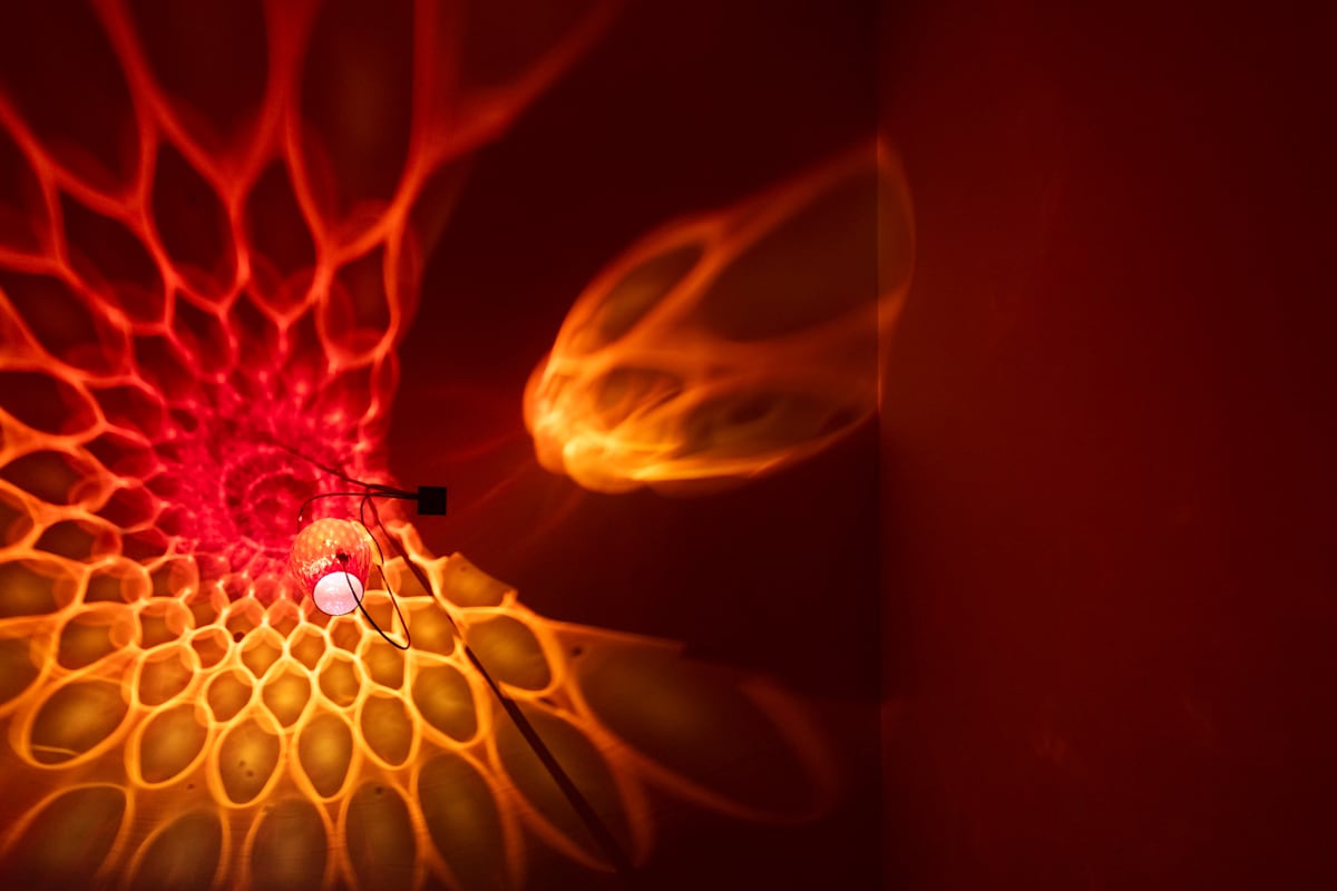 Intercession by Dana Major, Image 1.
