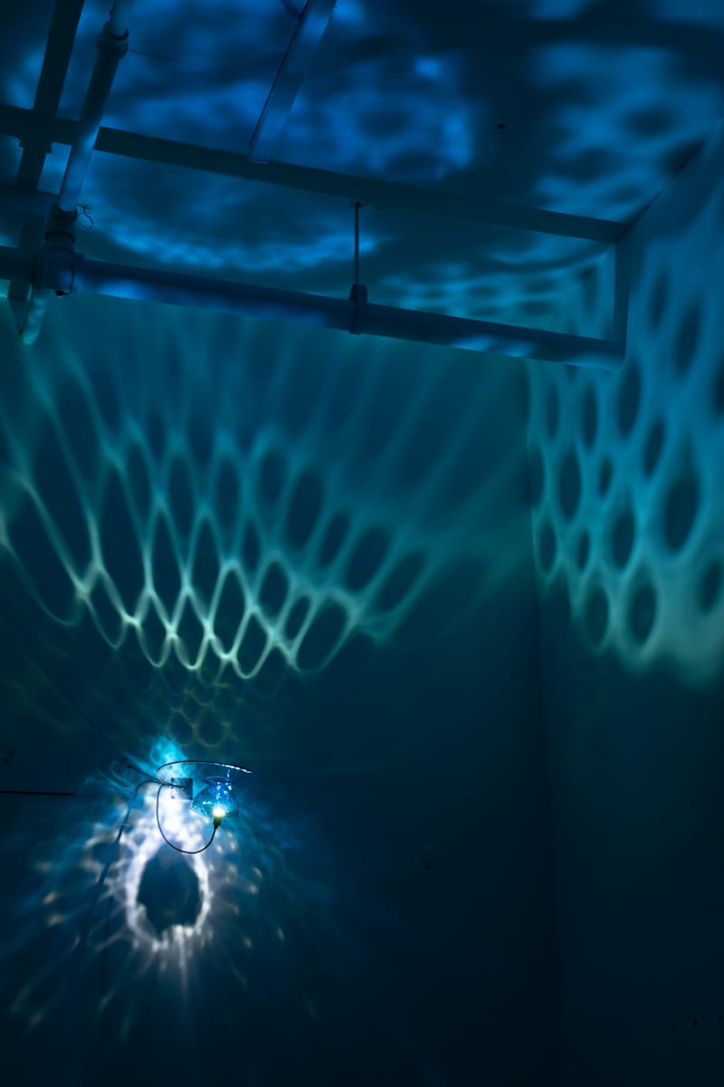 Overwater by Dana Major, Image 1.
