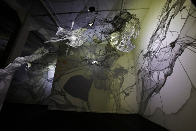 Shadow Matrix Evolution by Dana Major, Image 1.
