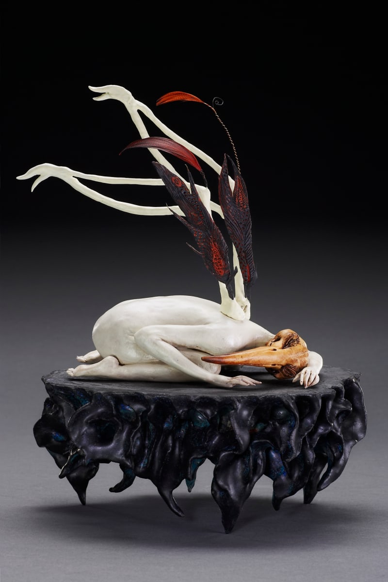 Sleeper Undisturbed by Dana Major, Image 1.