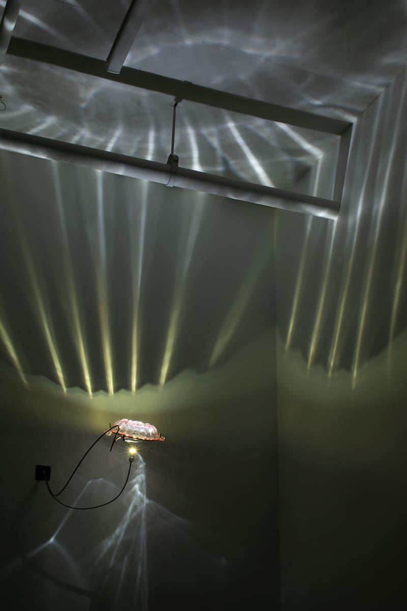 Precarity by Dana Major, Image 1.