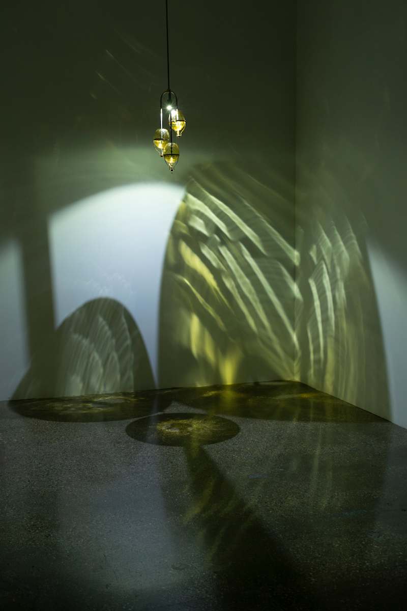 Medici by Dana Major, Image 1.