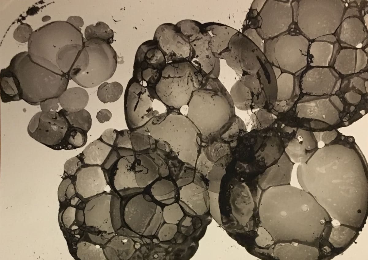 Absquatulate apoptosis 01 by Mari Yokoichi, Image 1.
