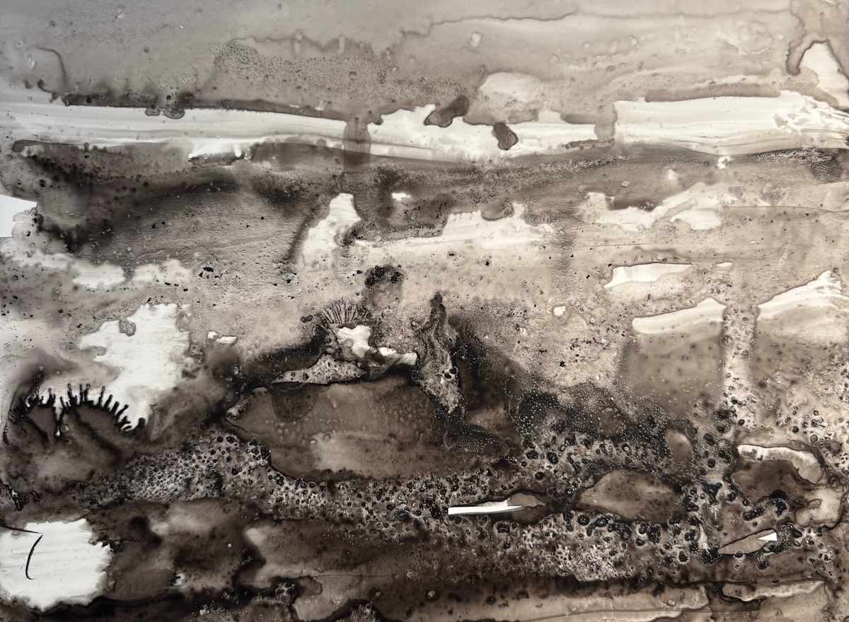 Tidal Study by Barbara  Abram, Image 1.